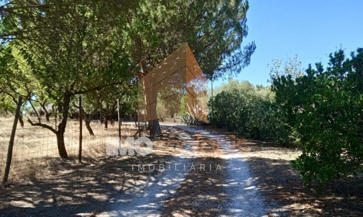 Terreno para Venda em Pontevel Foto 12