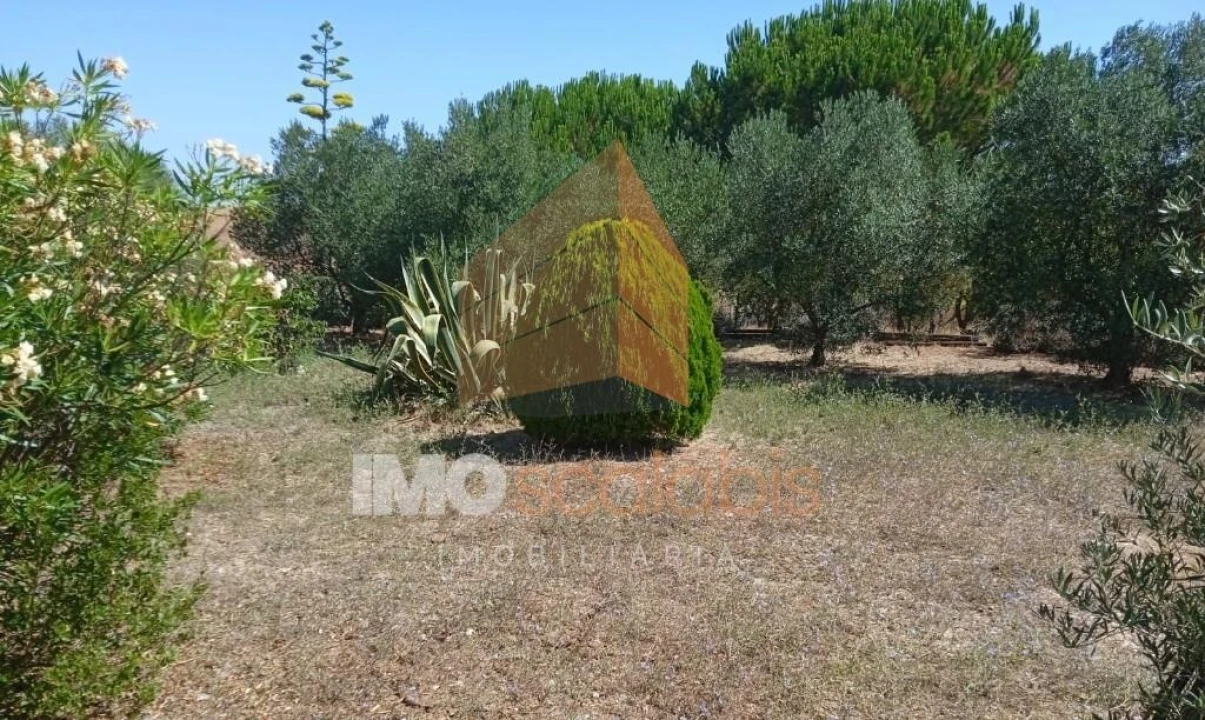 Terreno para Venda em Pontevel Foto 9