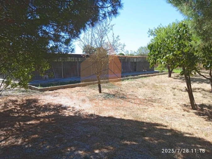 Terreno para Venda em Pontevel Foto 10