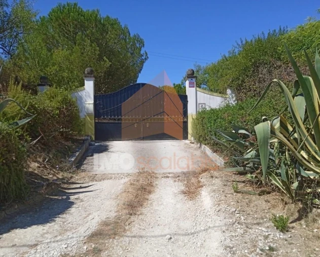 Terreno para Venda em Pontevel Foto 1