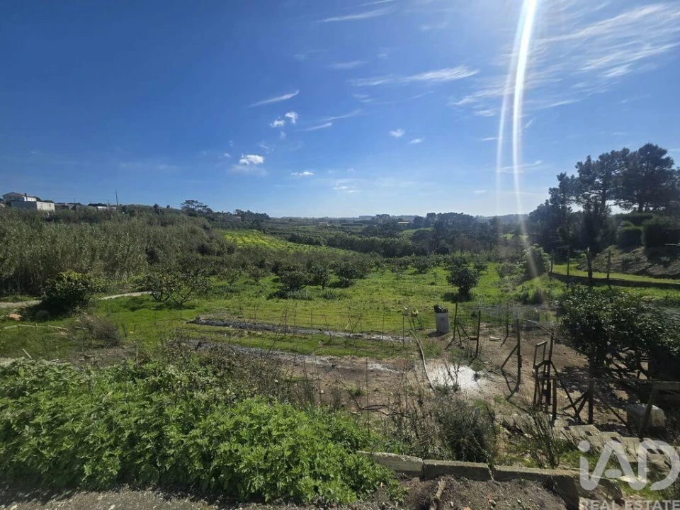 Moradia T4 para Venda em Mafra Foto 37