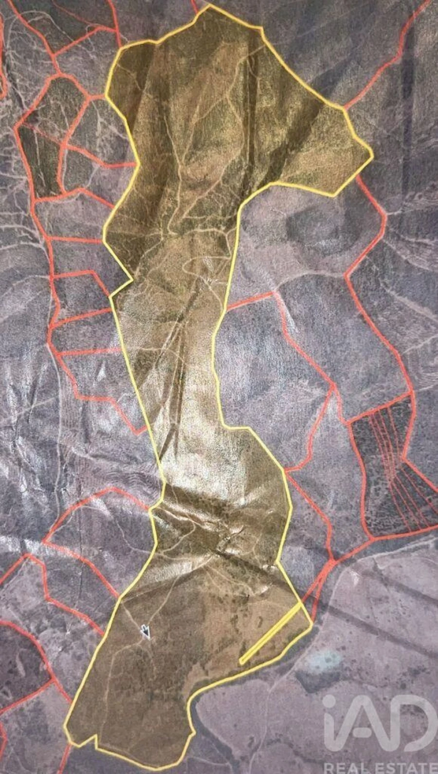 Quinta para Venda em Saboia Foto 2