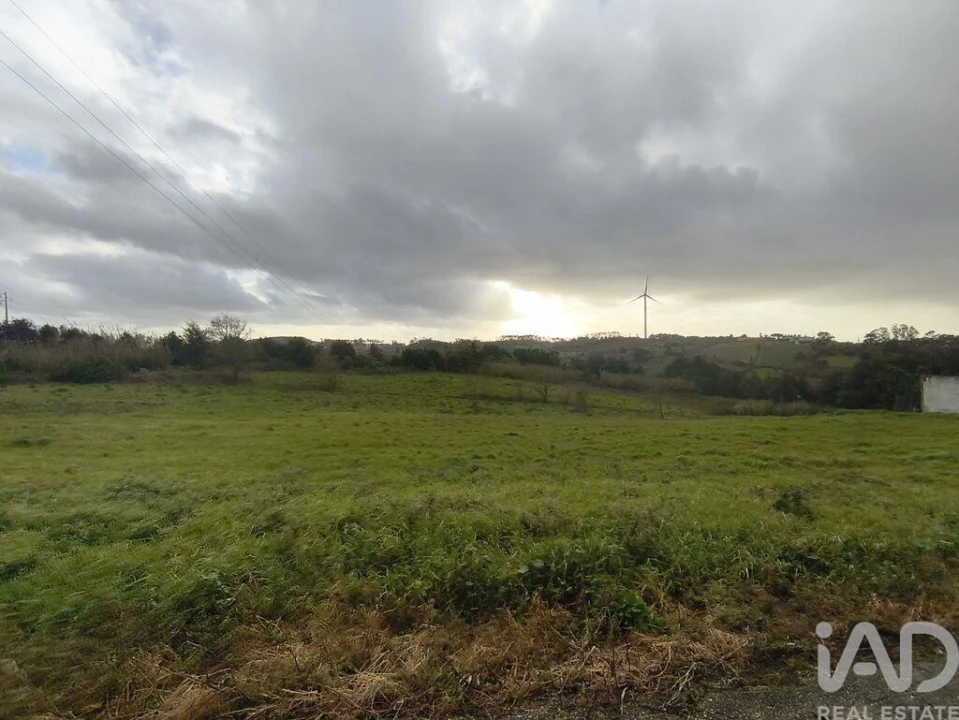 Terreno para Venda em Cela Foto 6