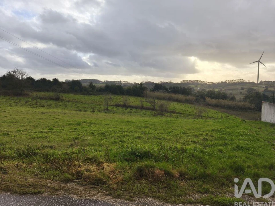 Terreno para Venda em Cela Foto 3