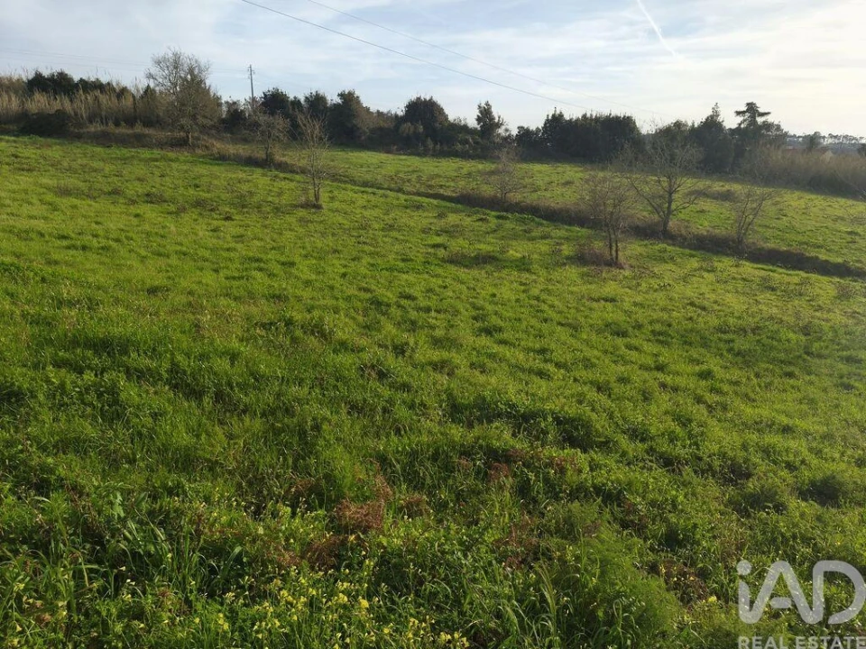 Terreno para Venda em Cela Foto 4