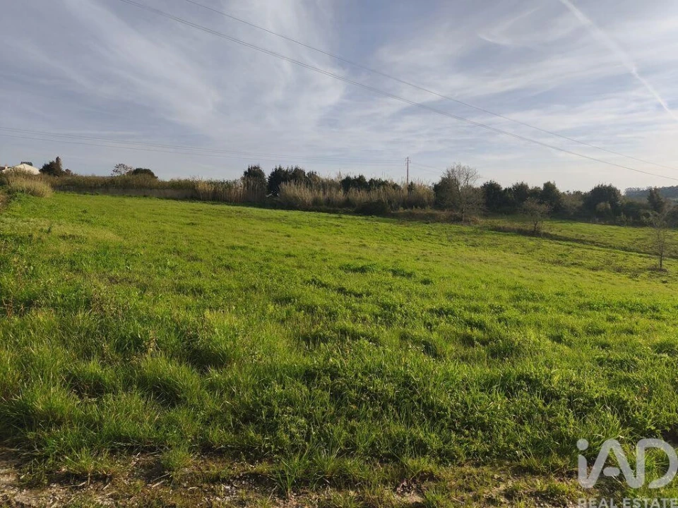 Terreno para Venda em Cela Foto 1