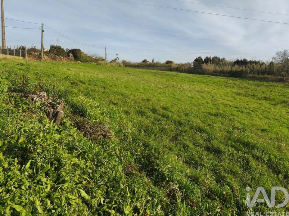 Terreno para Venda em Cela Foto 5