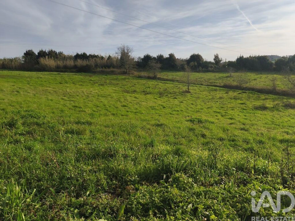 Terreno para Venda em Cela Foto 6