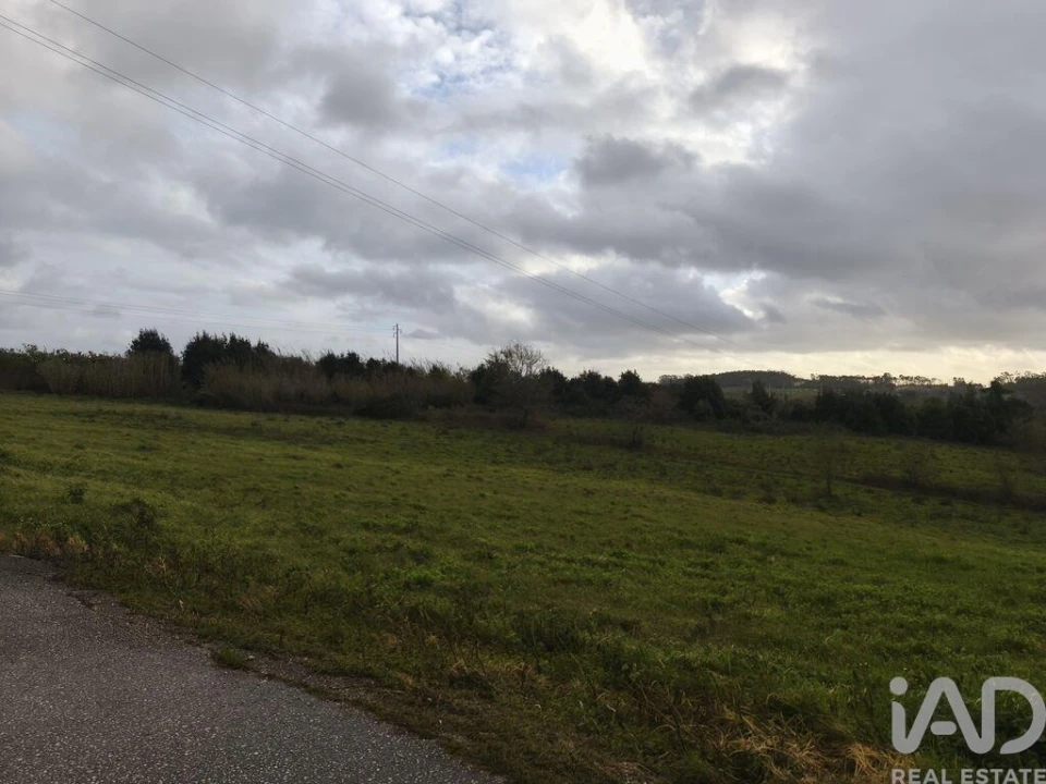 Terreno para Venda em Cela Foto 2