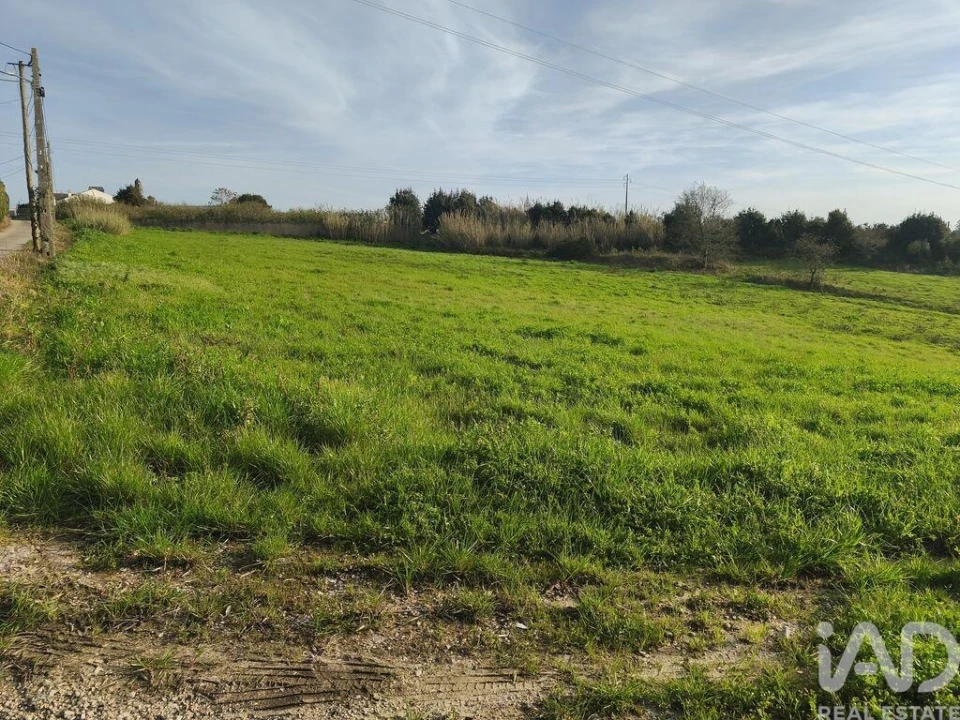 Terreno para Venda em Cela Foto 2