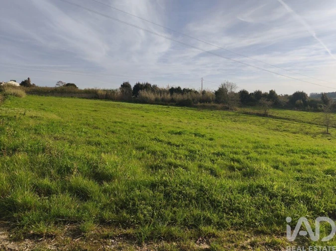 Terreno para Venda em Cela Foto 1