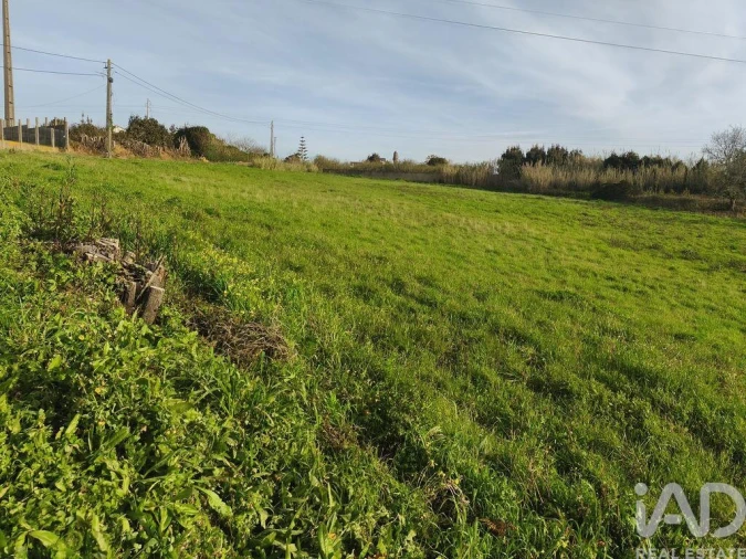 Terreno para Venda em Cela Foto 5