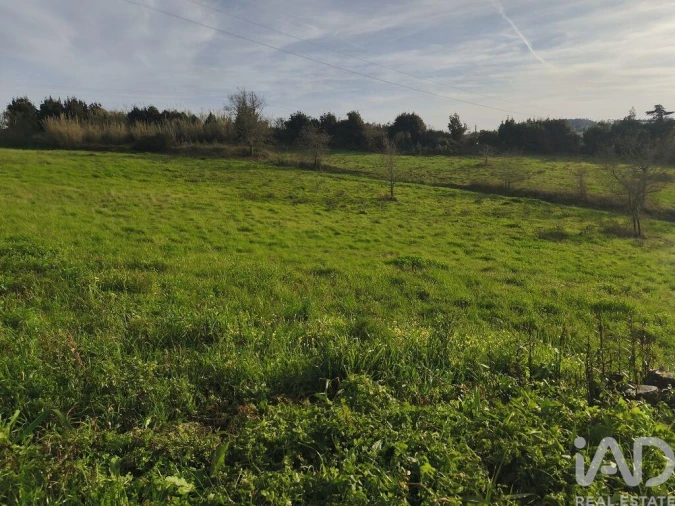 Terreno para Venda em Cela Foto 7