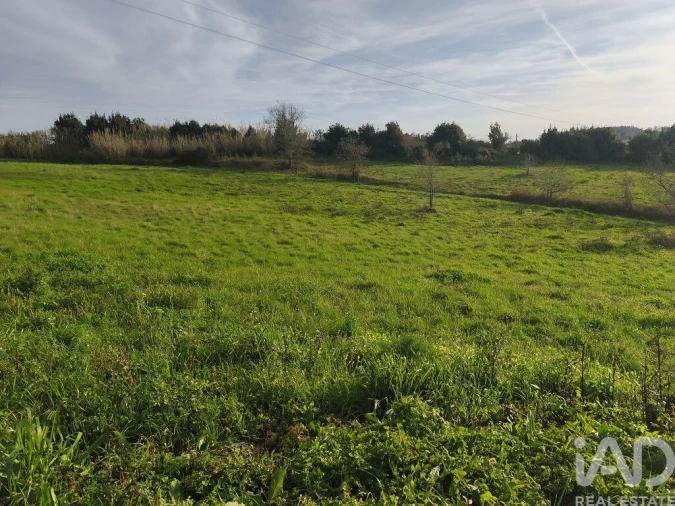 Terreno para Venda em Cela Foto 6