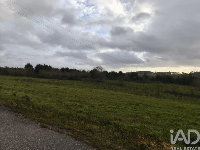 Terreno para Venda em Cela Foto 2