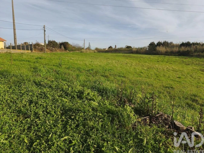 Terreno para Venda em Cela Foto 3