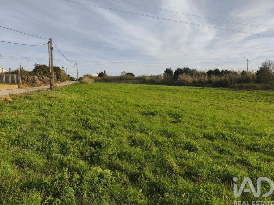 Terreno para Venda em Cela Foto 8