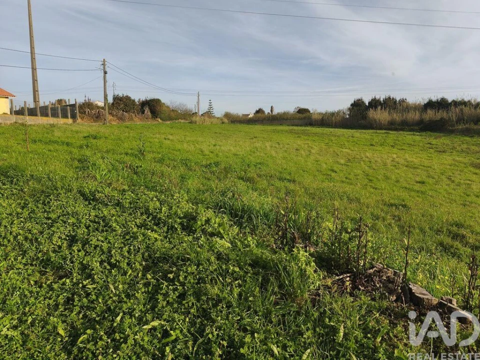 Terreno para Venda em Cela Foto 3