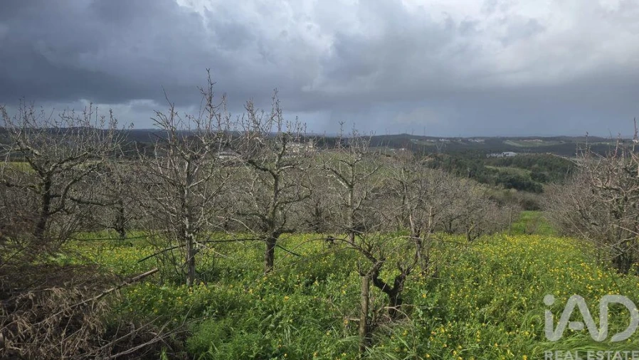 Terreno para Venda em Vilar Foto 5
