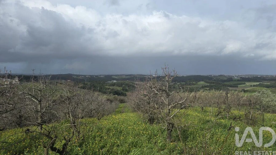 Terreno para Venda em Vilar Foto 6