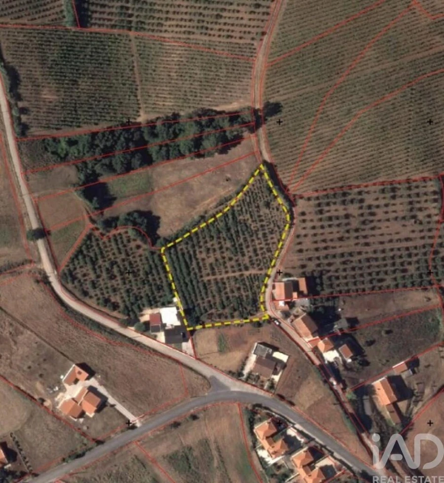 Terreno para Venda em Vilar Foto 2