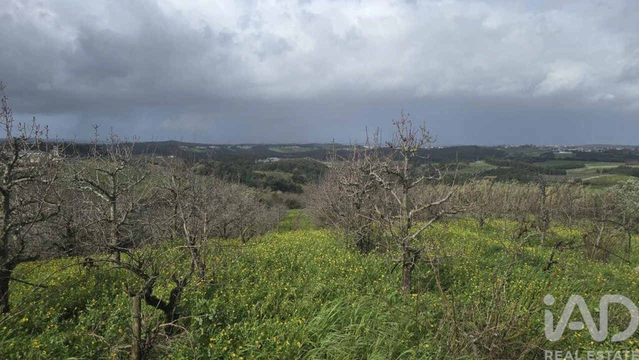 Terreno para Venda em Vilar Foto 4