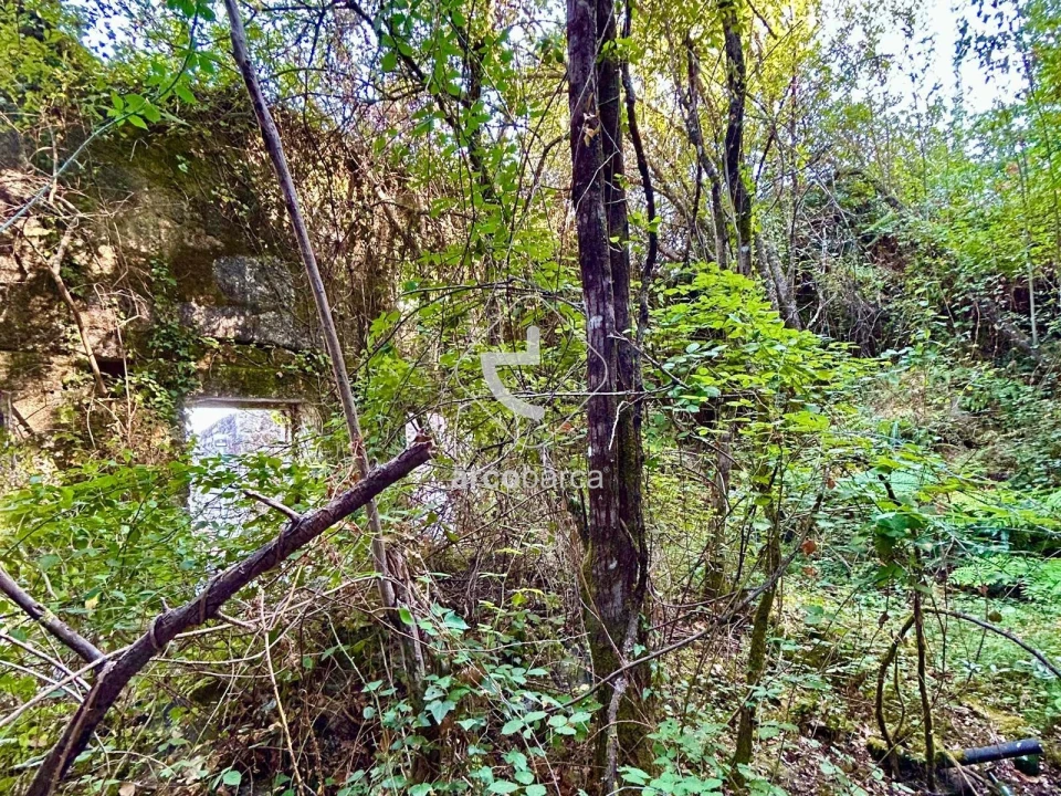 Moradia T3 para Venda em Azere Foto 7