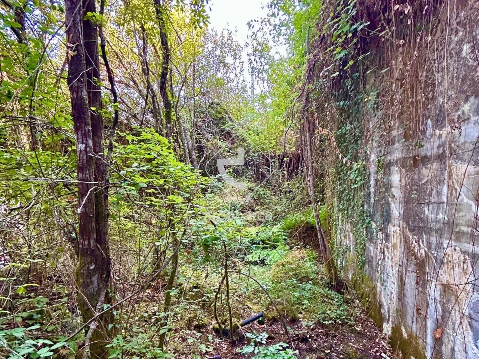 Moradia T3 para Venda em Azere Foto 6