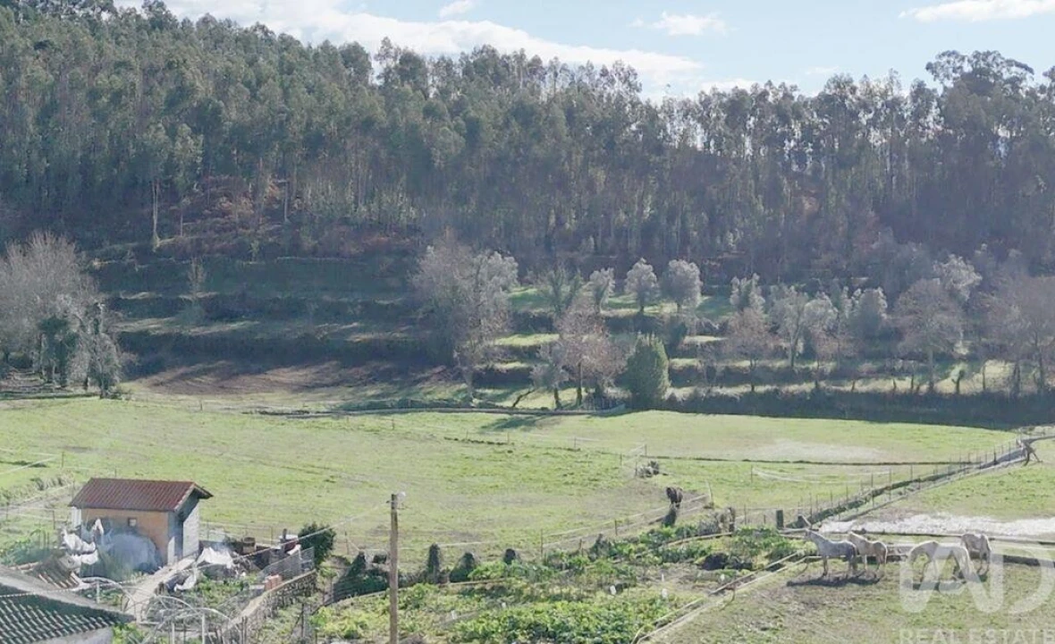 Moradia para Venda em Sobradelo da Goma Foto 17