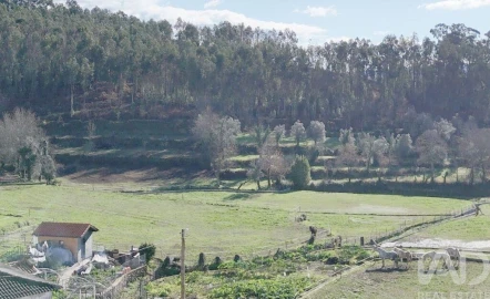Moradia para Venda em Sobradelo da Goma
