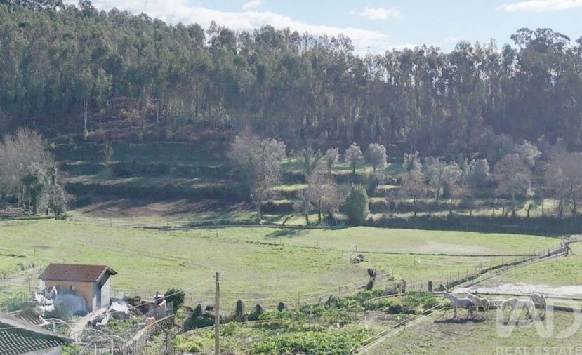 Moradia para Venda em Sobradelo da Goma Foto 17