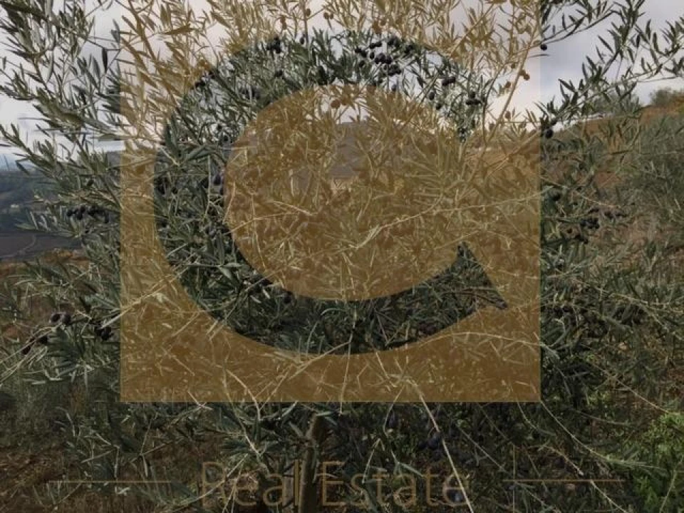 Quinta T3 para Venda em Cidadelhe Foto 2