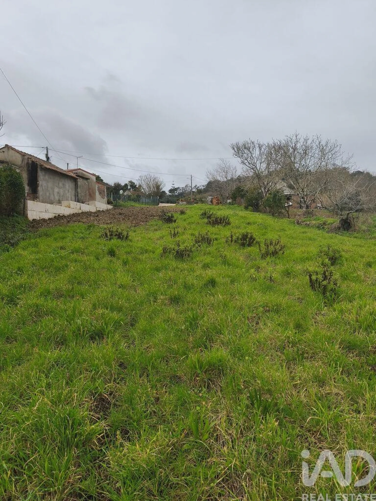 Terreno para Venda em Cela Foto 8
