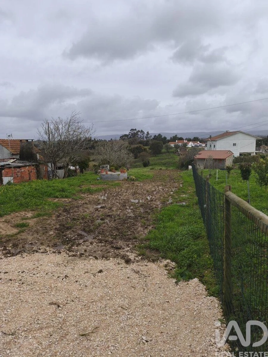 Terreno para Venda em Cela Foto 3