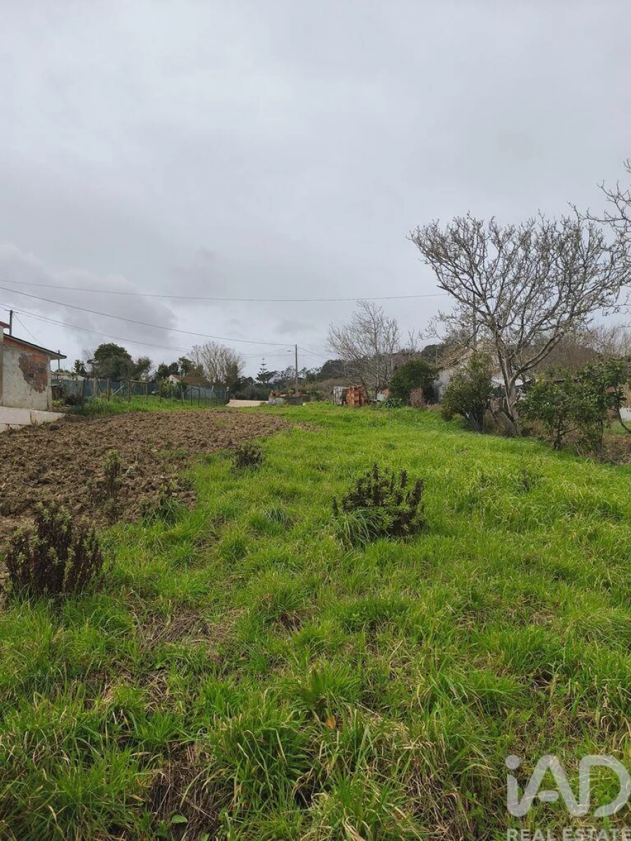Terreno para Venda em Cela Foto 6