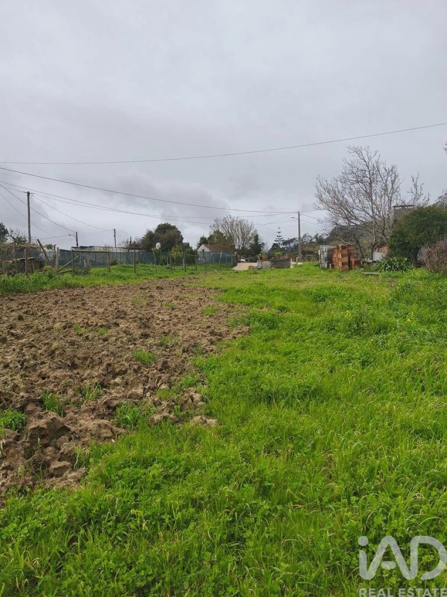 Terreno para Venda em Cela Foto 5