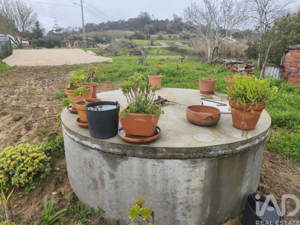 Terreno para Venda em Cela Foto 9