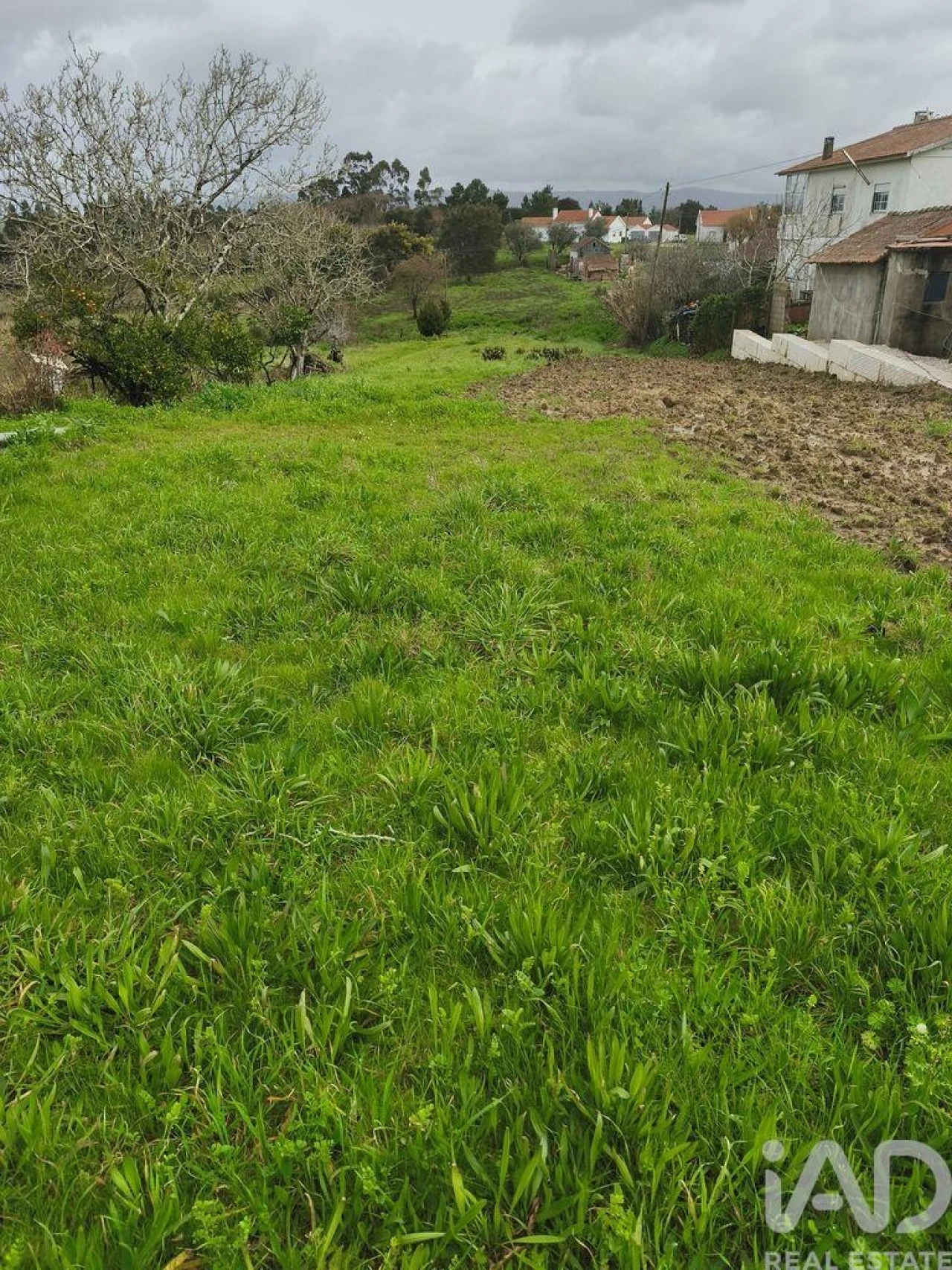 Terreno para Venda em Cela Foto 4