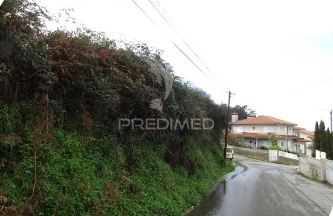 Terreno para Venda em Nogueira da Regedoura Foto 5