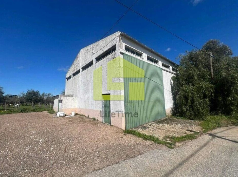 Moradia T4 para Venda em Borba (Matriz) Foto 6