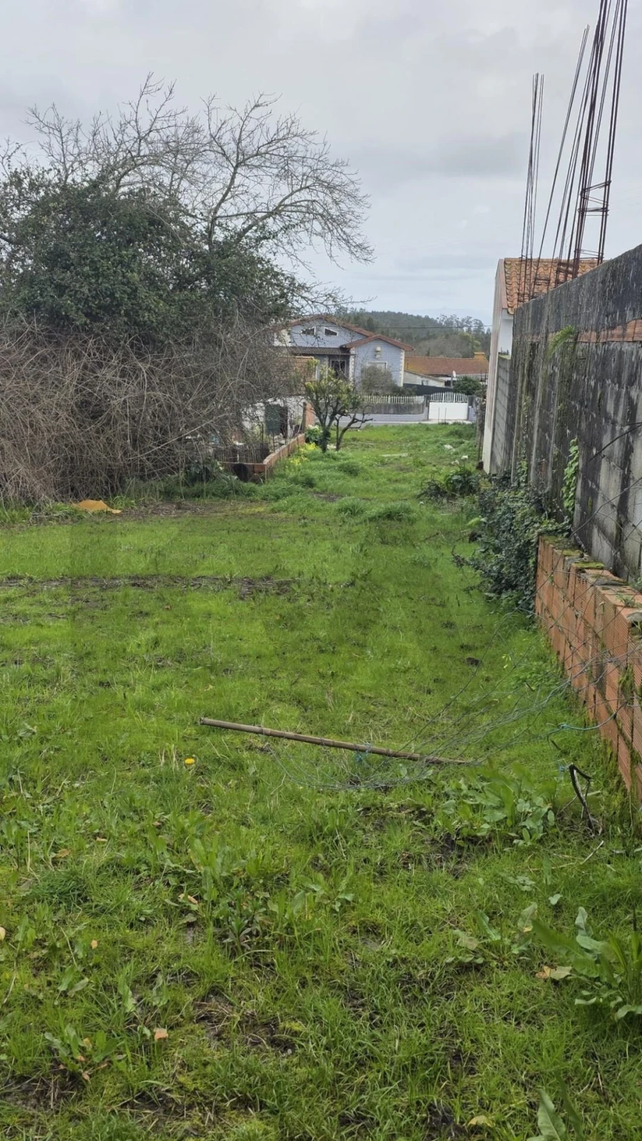 Terreno para Venda em Glória e Vera Cruz Foto 4