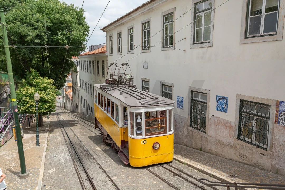 Prédio para Venda em Misericórdia Foto 23