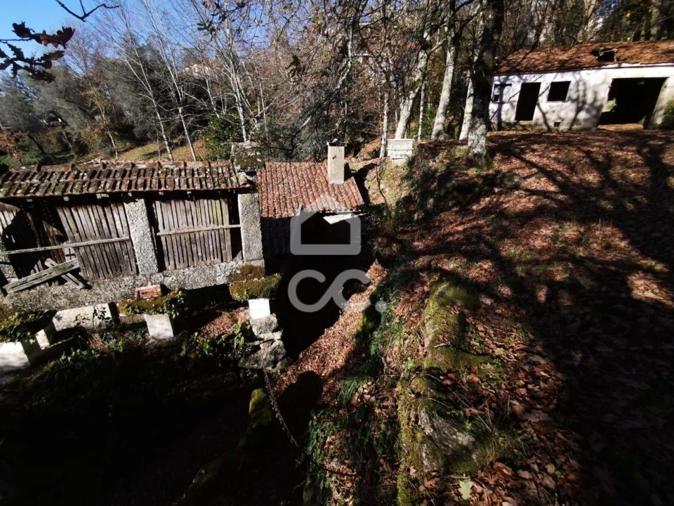 Quinta T3 para Venda em Rossas Foto 46