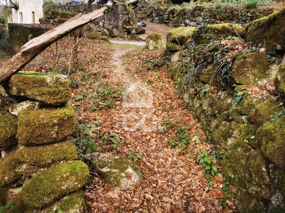 Quinta T3 para Venda em Rossas Foto 15