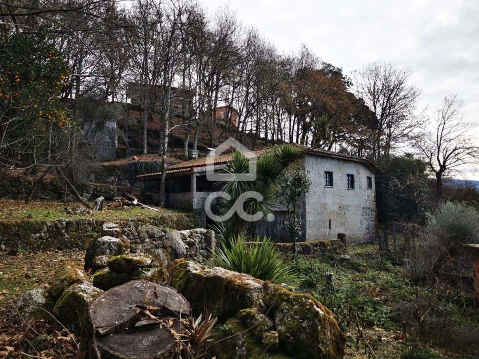 Quinta T3 para Venda em Rossas Foto 23