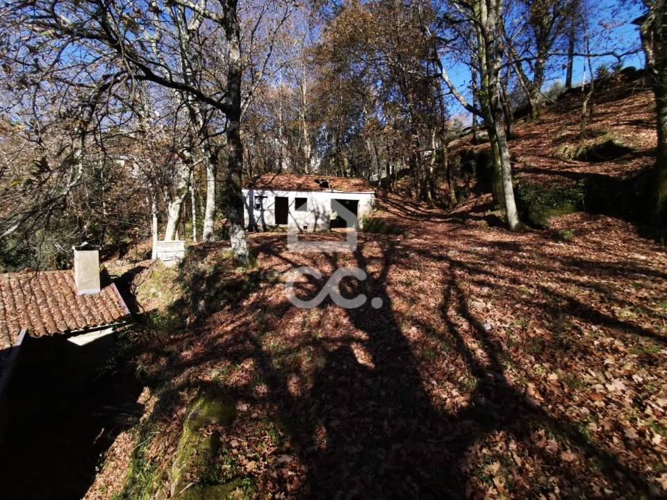 Quinta T3 para Venda em Rossas Foto 44