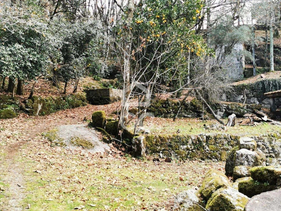 Quinta T3 para Venda em Rossas Foto 40