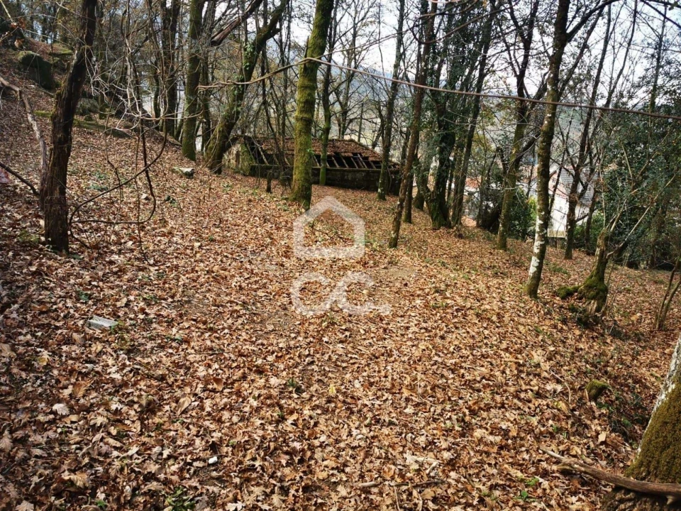 Quinta T3 para Venda em Rossas Foto 20