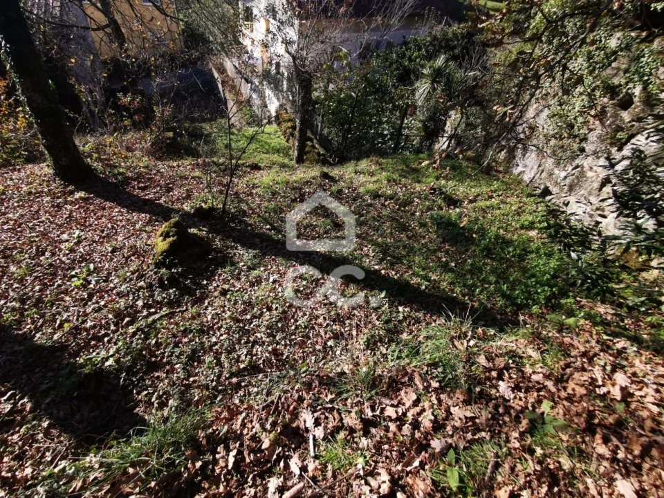 Quinta T3 para Venda em Rossas Foto 18