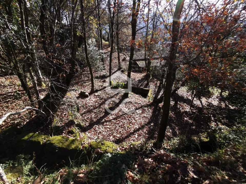 Quinta T3 para Venda em Rossas Foto 14